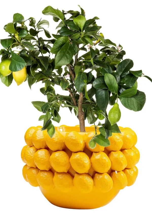 Cachepot decorativo Lemons 22cm - KARE