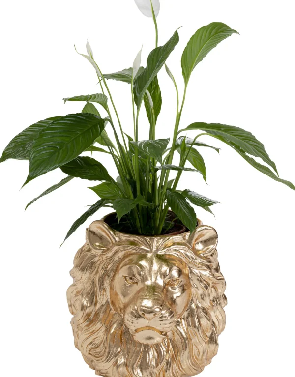 Cachepot Decorativo Lion Oro - KARE