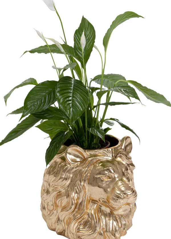 Cachepot Decorativo Lion Oro - KARE