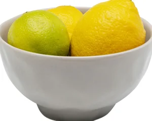 Ciotola Organic grigio Ø15cm - KARE