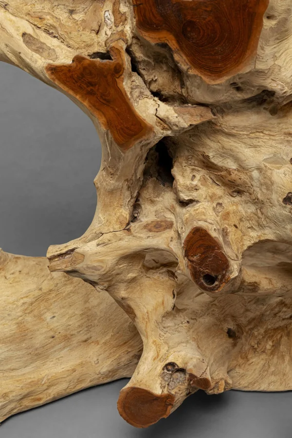 Console Roots 150x40cm - KARE