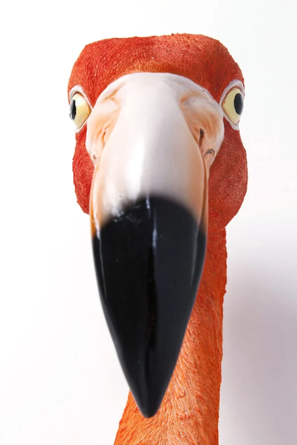 Decorazione Da Parete Flamingo Road 72cm - KARE