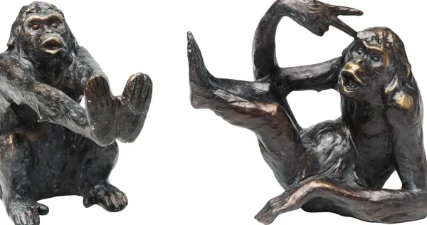 FERMALIBRO MONKEY (2/SET) - KARE
