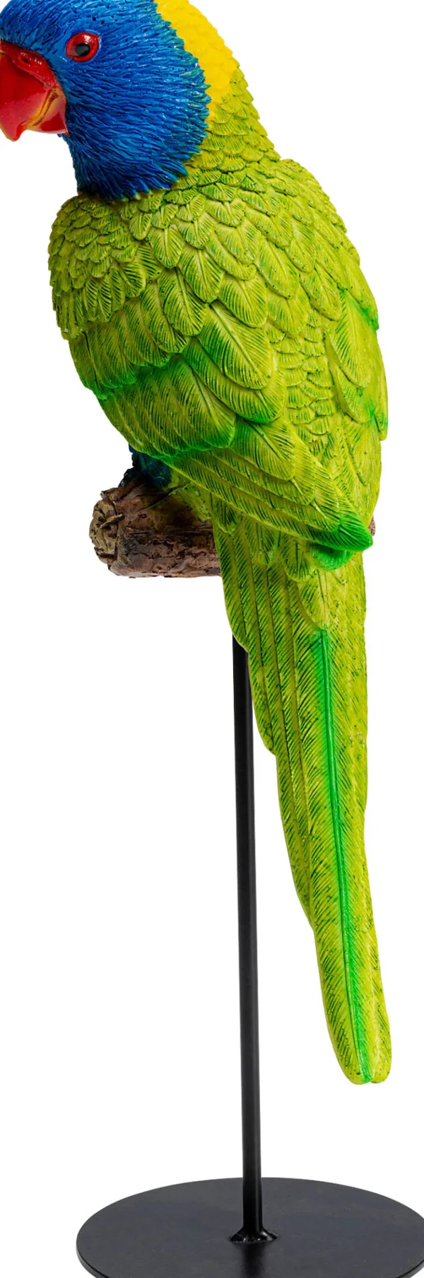 Figura decorativa Parrot verde 36cm - KARE