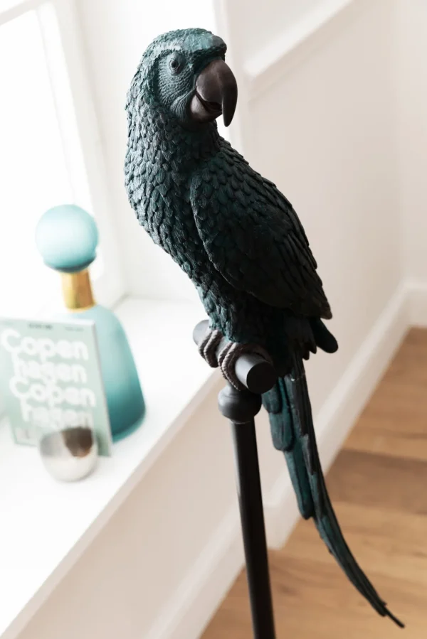 Figurina Deco Pappagallo Bluegreen - KARE