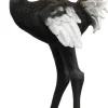 Lampada da terra Animal Ostrich 147cm - KARE