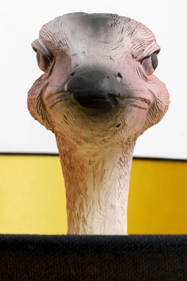 Lampada da terra Animal Ostrich 147cm - KARE