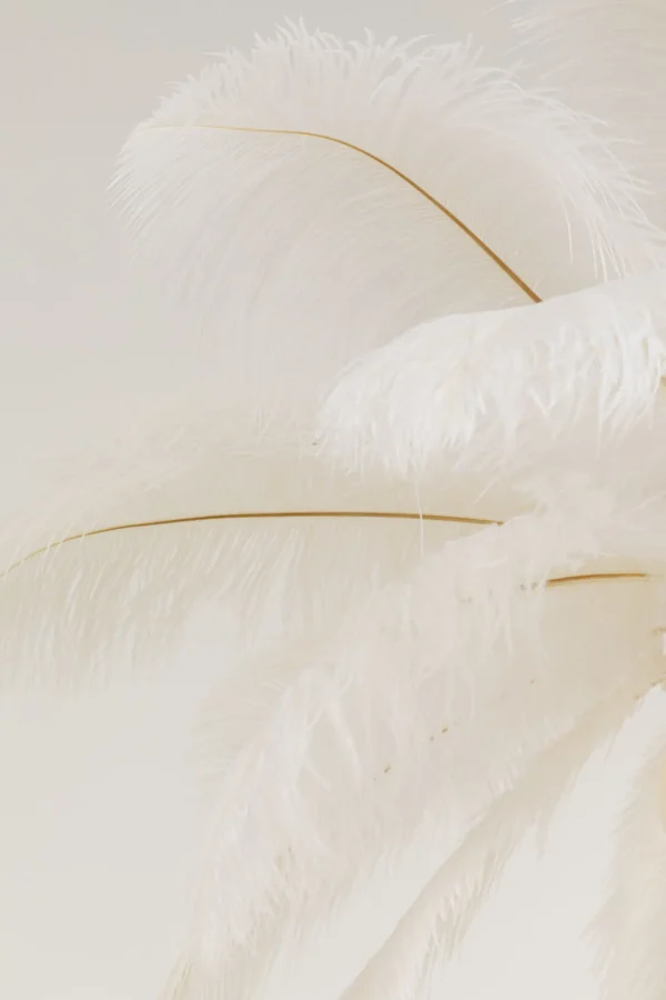 Lampadario Feather Palm bianco Ø87cm - KARE