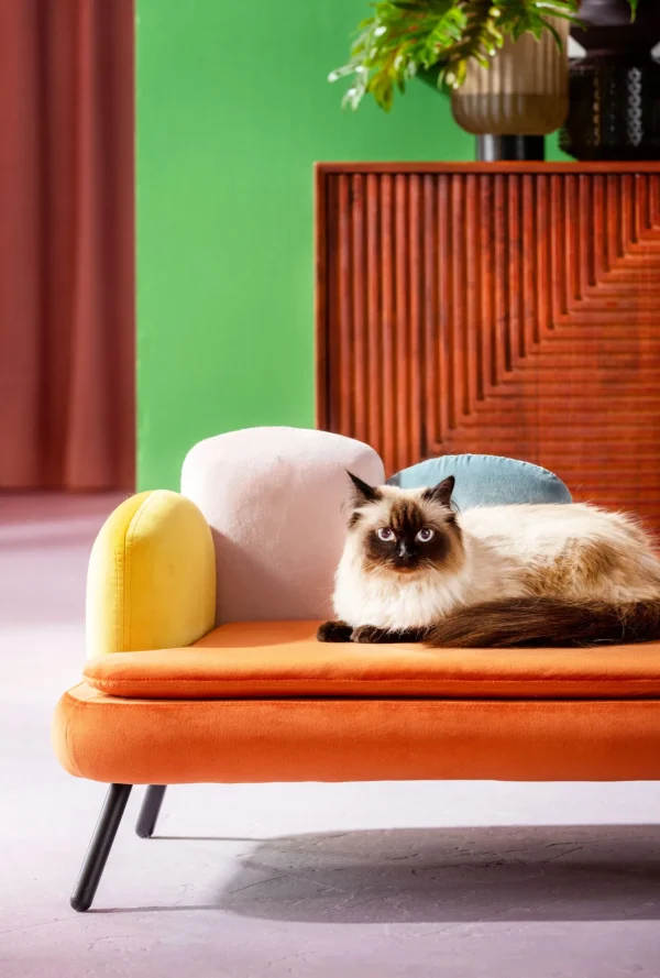 Lettino per cani/gatto Diva arancio - KARE