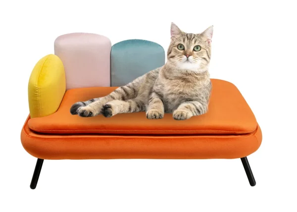 Lettino per cani/gatto Diva arancio - KARE