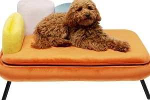 Lettino per cani/gatto Diva arancio - KARE