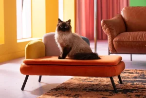 Lettino per cani/gatto Diva arancio - KARE