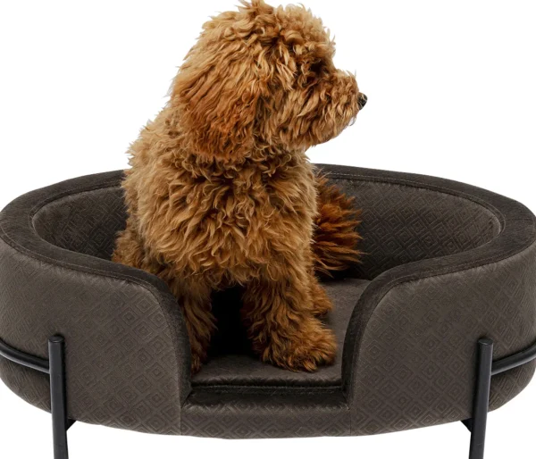 Letto per cani/gatti Dream Day grigio - KARE