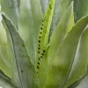 Pianta decorativa Agave 40cm - KARE