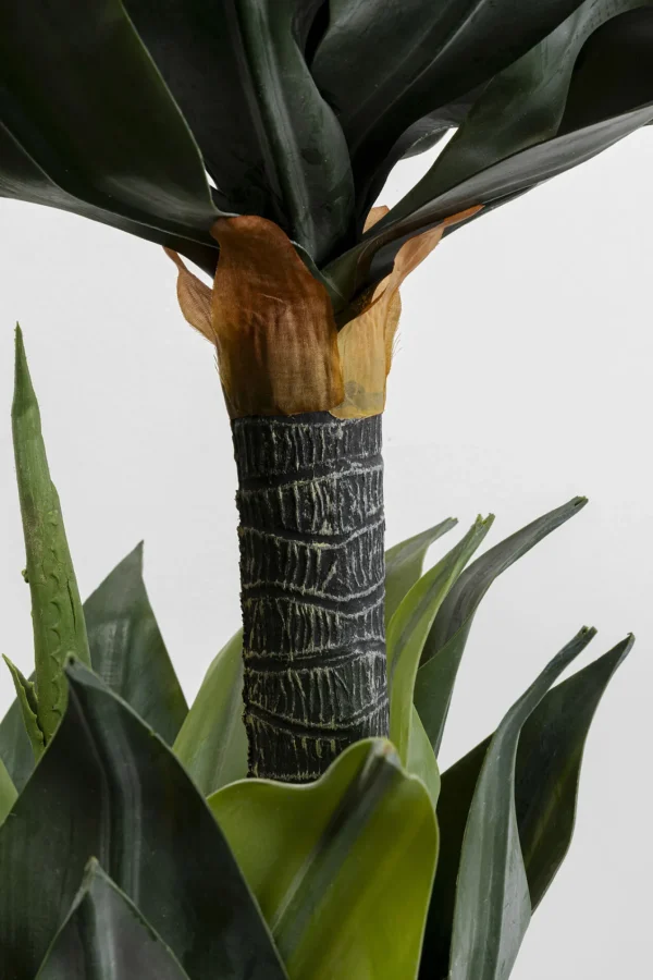 Pianta decorativa Agave 120cm - KARE