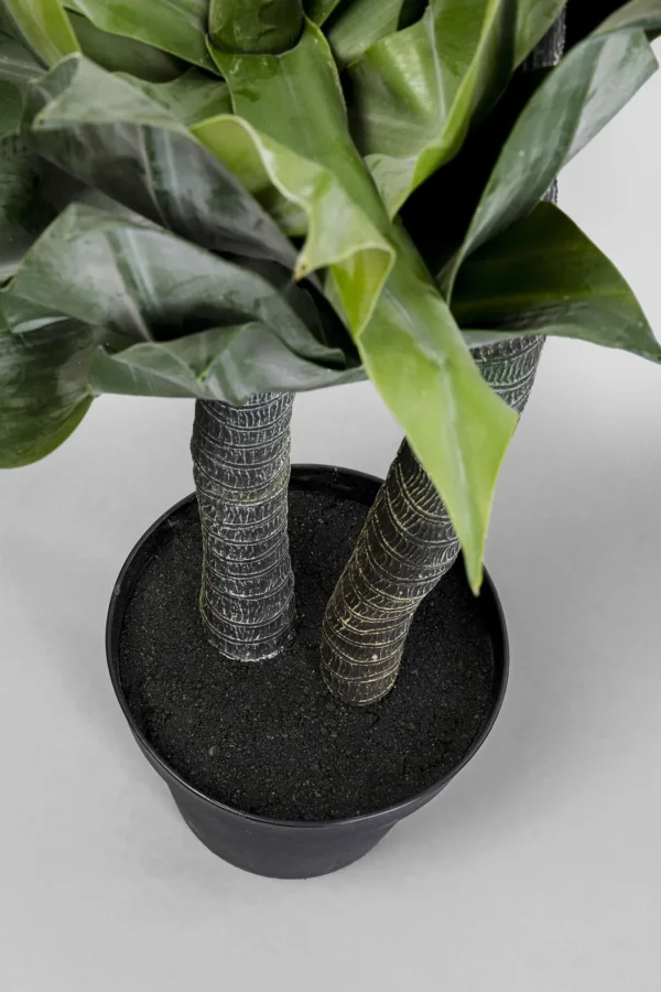 Pianta decorativa Agave 120cm - KARE