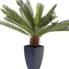 Pianta decorativa Cycas 78 cm - KARE