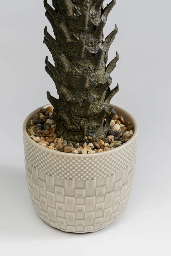Pianta decorativa Cycas 70cm - KARE