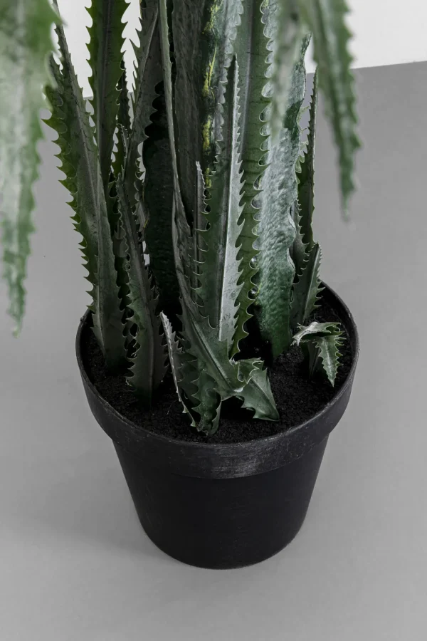 Pianta decorativa dracena Drachenbaum 155cm - KARE