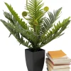 Pianta decorativa Farn 55cm - KARE