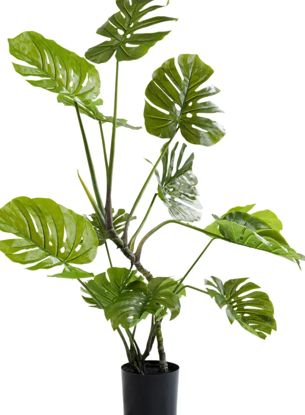 Pianta Decorativa Monstera 110cm - KARE