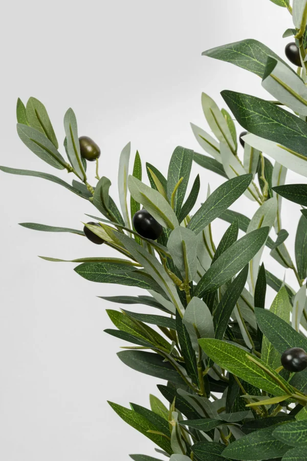 Pianta decorativa olivo 150cm - KARE