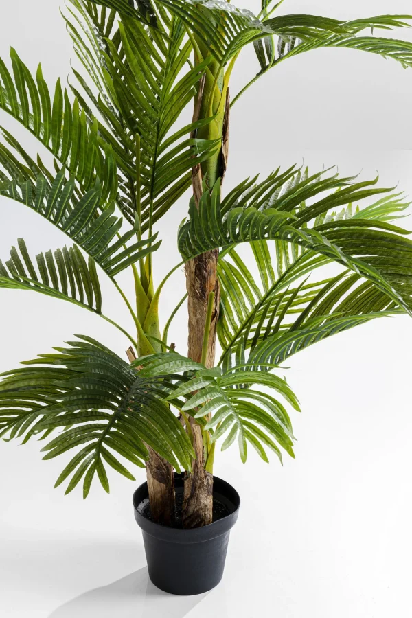Pianta Decorativa Palm Tree 190cm - KARE