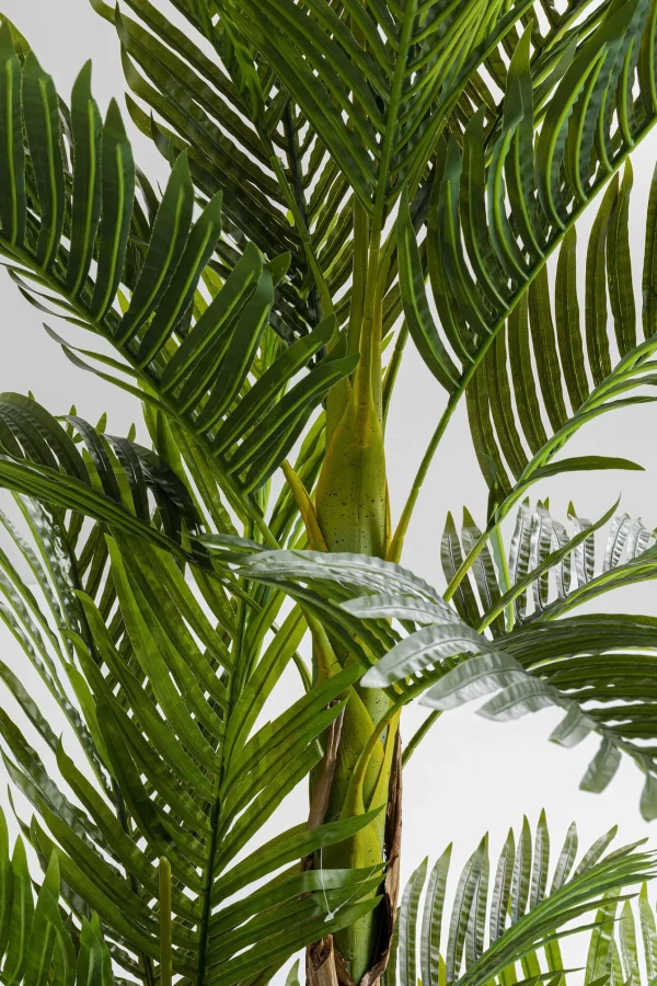 Pianta Decorativa Palm Tree 190cm - KARE
