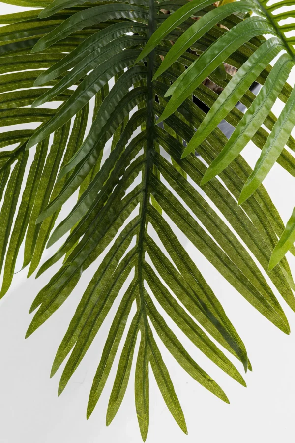 Pianta Decorativa Palm Tree 190cm - KARE