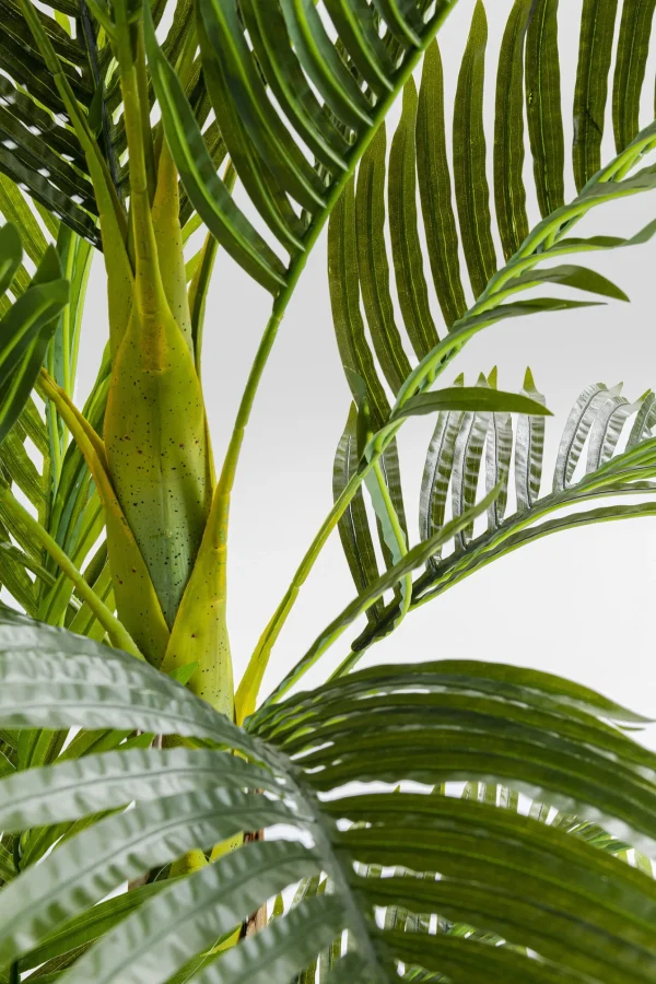 Pianta Decorativa Palm Tree 190cm - KARE