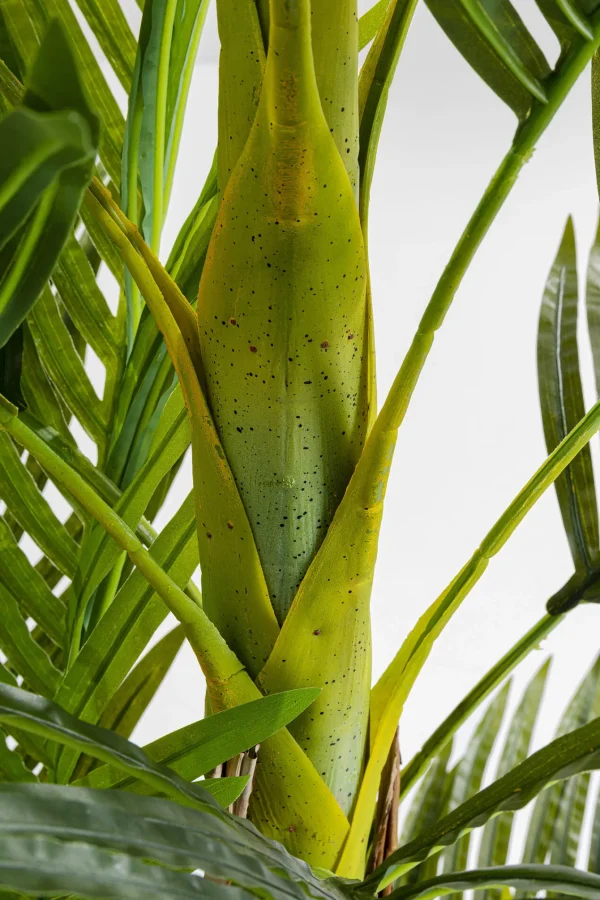 Pianta Decorativa Palm Tree 190cm - KARE