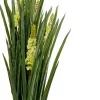 Pianta decorativa Rhynchostylis 150cm - KARE
