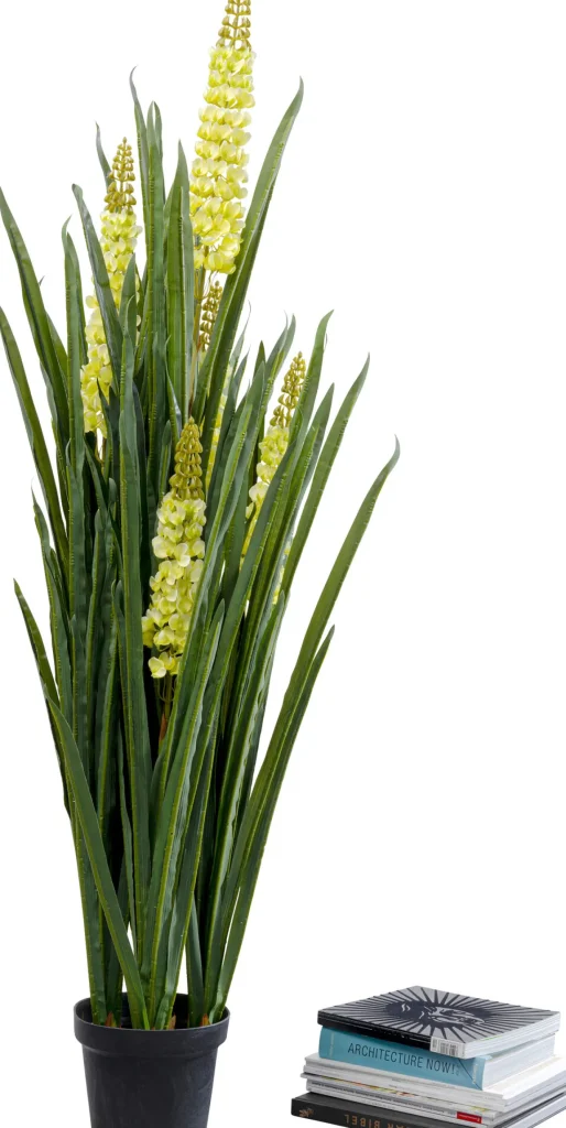 Pianta decorativa Rhynchostylis 150cm - KARE