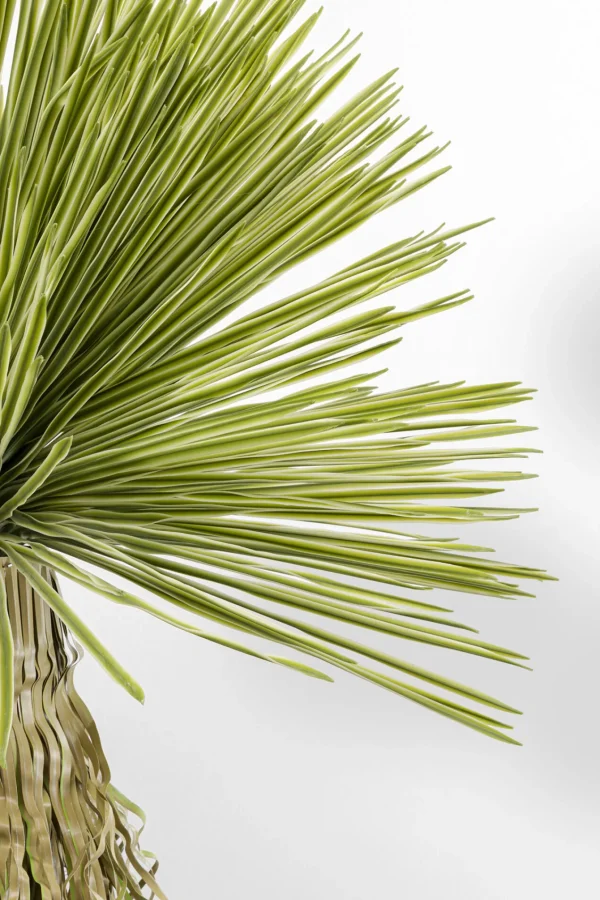 Pianta decorativa Yucca Rostrata 180cm - KARE