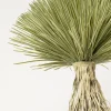 Pianta decorativa Yucca Rostrata 240cm - KARE