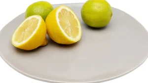 Piatto Organic grigio Ø26cm - KARE
