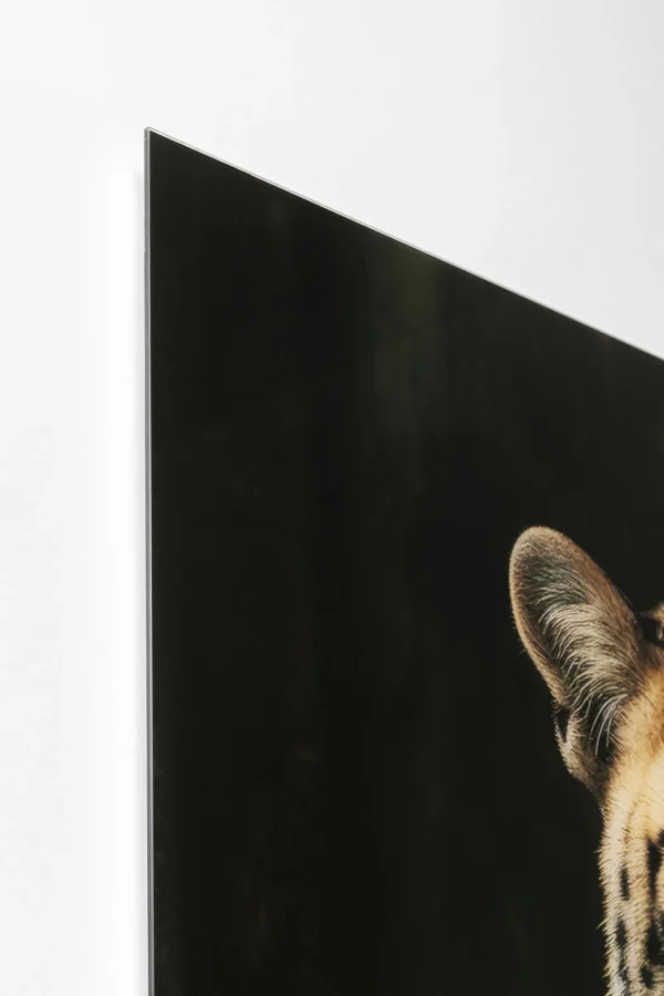 Quadro vetro Mister Leo 100x150cm - KARE