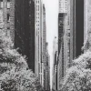 Quadro vetro Streets Of NY 120x80cm - KARE