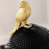 Scatola Deco Parrot - KARE