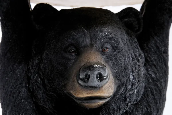 Tavolino D'appoggio Animal Bear Ø33cm - KARE