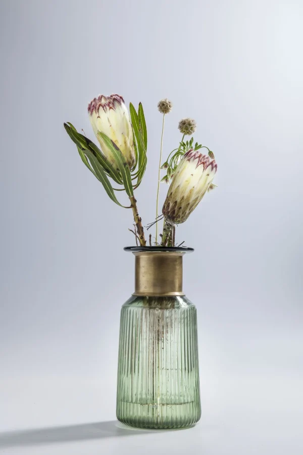 VASO BARFLY VERDE 30CM - KARE