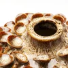 Vaso Corallo 25cm - KARE