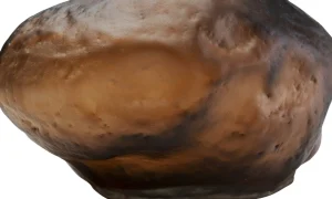 Vaso Enrique Marrone 15cm - KARE