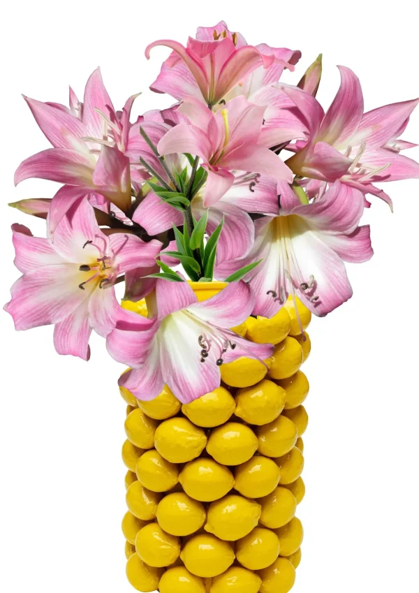 Vaso Lemon Juice 43cm - KARE