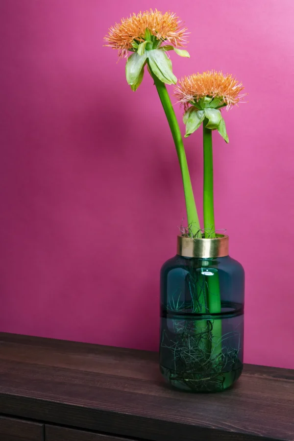 VASO POSITANO BELLY VERDE 28CM - KARE