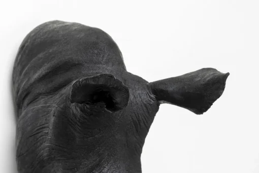 KARE Design Decorazione da parete Rhino Head Antique nero 22x4 - KARE> Decorazioni Da Parete