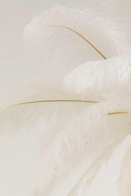 KARE Design Lampadario Feather Palm bianco Ø87cm - KARE> Lampadari E Lampade A Sospensione