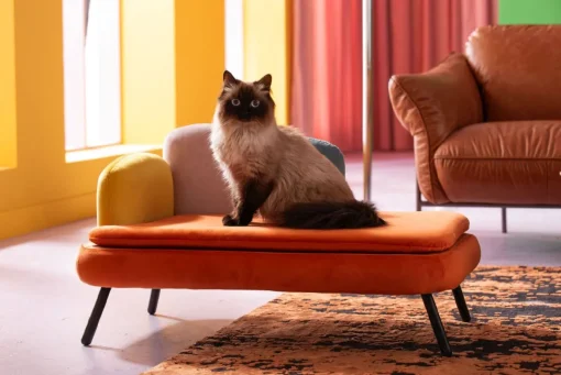 KARE Design Lettino per cani/gatto Diva arancio - KARE> Accessori Per Animali