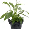 KARE Design Oggetto decorativo Bulldog nero - KARE> Vasi E Fioriere|Vasi