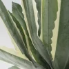 KARE Design Pianta decorativa Agave 50cm - KARE> Piante Artificiali